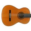Esteve 2GR5F classical guitar