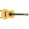 Baton Rouge LMSM classical guitar