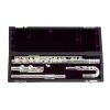 Trevor James 3041-CDEW flute with case + curved headjoint (covered keys, offset G, E-mechanism)