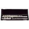 Trevor James 3041-EW flute with case (covered keys, offset G, E-mechanism)