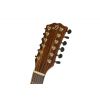Dowina Rustica D12 acoustic guitar