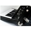 Roland FR 1 x Black digital accordion