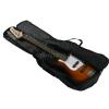 Proel BAG-130P bag (nylon) for bass guitar