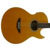 Elypse Naomi acoustic-electric guitar