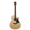 Richwood G-40 CE electric/acoustic guitar