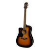 Richwood RD12CE SB electric acoustic guitar, left-handed