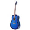 Flycat C100 TBL EQ electric acoustic guitar 
