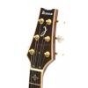 Ibanez ARC500-NT electric guitar