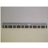 Zebra Music Ruler 20 cm Plastic with Piano Motif