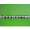 Zebra Music Ruler 20 cm Plastic with Piano Motif