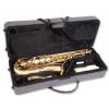 Odyssey OTS 800 tenor saxophone (with a case)