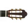 De Filipe 44Cut EQ classical electric guitar