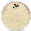 Evans TT13C7 Calftone drumhead 13″ 