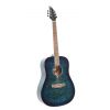 Flycat C100 TBL acoustic guitar