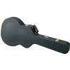 Ibanez AS-C electric guitar case