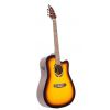Flycat C100 TSB EQ electric acoustic guitar