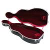 Kisielewski cello case (ABS)