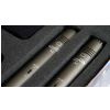 Prodipe A1 Duo pair of microphones