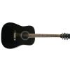 EverPlay AP-316 BK acoustic guitar