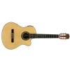 Aria AK-35Cut EQ Electric Guitar