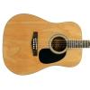 Richwood RD12 N acoustic guitar W./Dreadnought