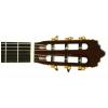 Baton Rouge LMSM classical guitar