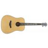 BatonRouge R30 t1 acoustic guitar