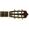 Baton Rouge LMCM classical guitar