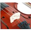 AN school violin 4/4 with case