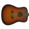 Baton Rouge L6 AB acoustic guitar