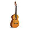Cordoba Protege C1 classical guitar