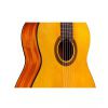 Cordoba Protege C1 classical guitar