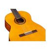 Cordoba Protege C1 classical guitar