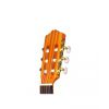 Cordoba Protege C1 classical guitar