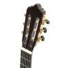 Baton Rouge LM5 S classical guitar
