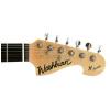 Washburn X10 QVS electric guitar