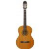 EverPlay Luthier-4 classical guitar