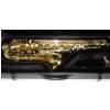 Stagg 77ST tenor saxophone with case