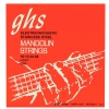 GHS Professional - Mandolin String Set, Loop End, Stainless Steel, Light, .010-.036