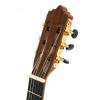 Baton Rouge LM9-EQ classical electric guitar
