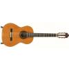 Sanchez S-3050C/EQ classical guitar with EQ