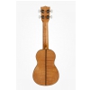 Kala Exotic Mahogany soprano ukulele with cover