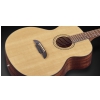 Framus FJ 14 Solid A Sitka Spruce Natural Gloss acoustic guitar