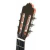 Esteve 2GR5F classical guitar