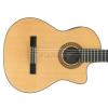 Baton Rouge LM9CUT-EQ classical electric guitar