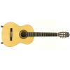 Baton Rouge LM5 SM58 classical guitar