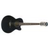 Ibanez AEL2012E-TKS acoustic guitar with EQ Ibanez AEL2012E-TKS acoustic guitar with EQ
