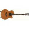 Dowina JCE555 acoustic guitar with EQ Dowina JCE555 acoustic guitar with EQ