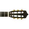 Baton Rouge LMS classical guitar