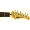 Cort G250-2T electric guitar